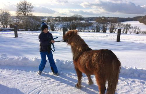 Gite Du Colombier - Foto 57