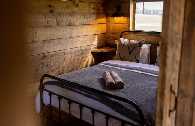 Luxury Safari Lodge Surrounded by Deer!! 'fallow' - Foto 11