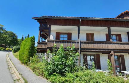 Magic Apartment Arber - Foto 13