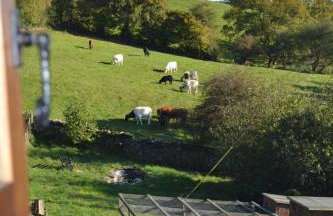 Siabod, Betws y Coed, Snowdonia 2 en-suite bedrooms - Foto 54