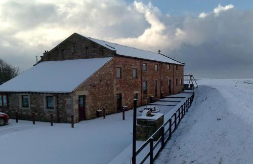 Pattys Barn Holiday Cottages, Cabins and Venue Hire - Foto 67