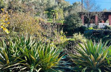 Giardino Toscano - Photo 14