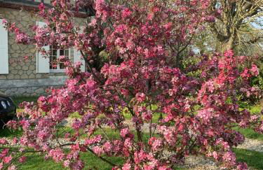 Grande maison normande de 250 m2 1ha - aperçu mer - Photo 9