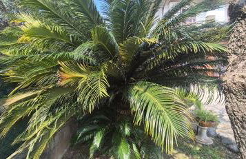 La Casa Del Giardino Degli Olivi - Foto 32