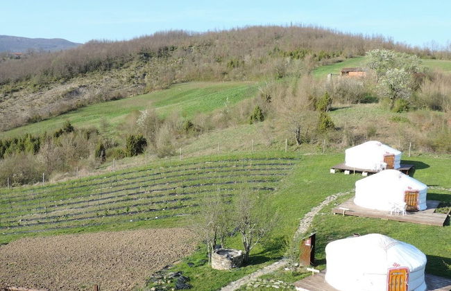 Società Agricola Cacigolara - Foto 57