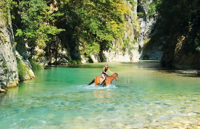 White Orchid Laelia in Vola - Foto 22