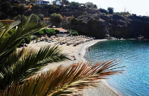 Blue Paradise - Photo 39