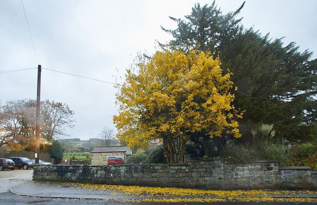 Rosella Cottage - Foto 35