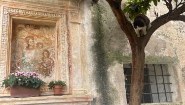 Crosa tra le Nuvole - Foto 4