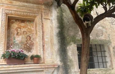 Crosa tra le Nuvole - Foto 4