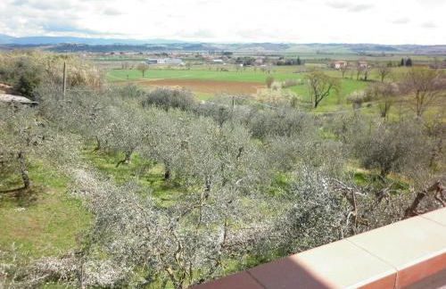 Casa Gli Ulivi - Foto 18