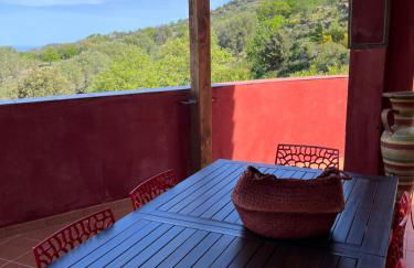 Domaine Victoria - Foto 26