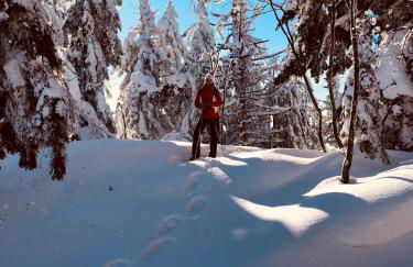 Haus Sonnenblick - Foto 21