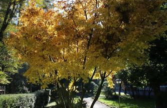 Bilocale Indipendente - Foto 37