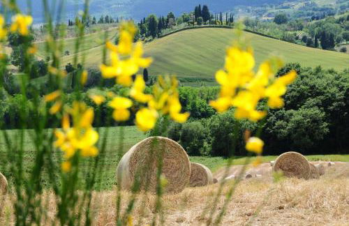 Villa Palazzo Bello con piscina e AC - Cetona - Foto 41