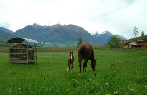 AGRITURISMO MASO PERTENER -adults friendly- - Foto 29