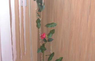 Casa Gioia - Foto 20