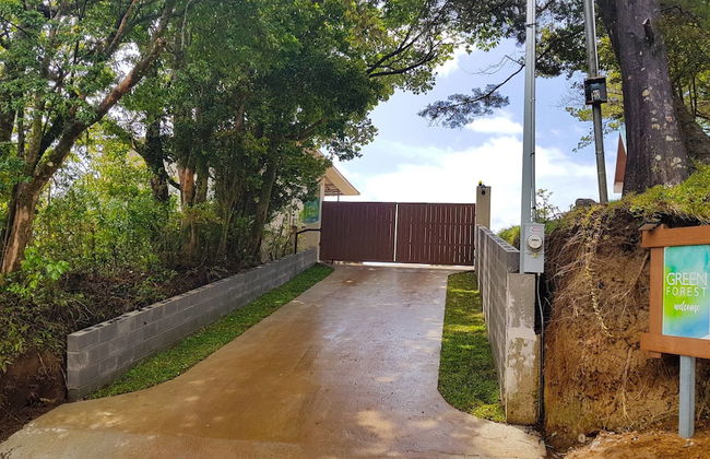 Green Forest Vacations Homes - Foto 18