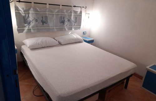 Casa vacanze in pineta vista mare - Foto 14