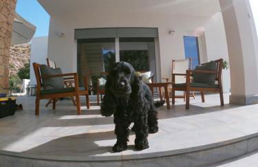 I due carrubi - Foto 19