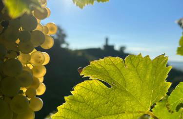 AlMi House - Colline del Prosecco - Foto 25