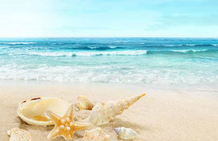 Hotel & Appartements Le Grand Large bord de mer - Foto 30