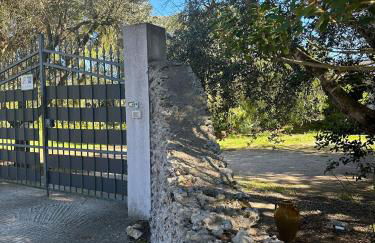 Villa Zoë - Foto 33