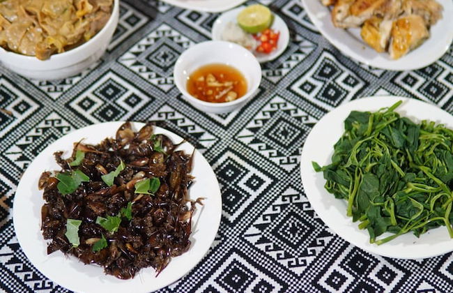 Mai Hich Farmstay - Foto 9