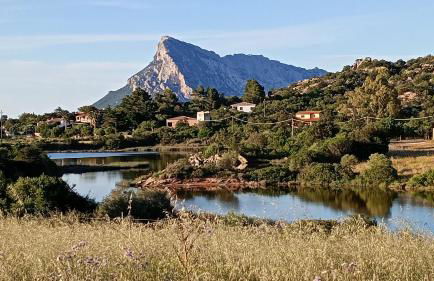 Flamingo's Home - Foto 23