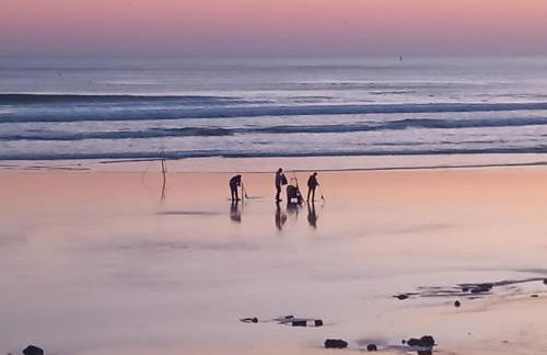 Appartement 2 chambres proche Grande Plage - Photo 31