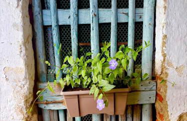 Il Nido su Stresa - Foto 7