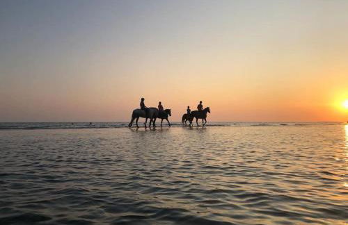 May Cottage - Heart of Vibrant Village & 10 mins Walk to Beach - Photo 41