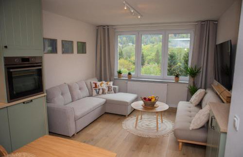 Mieszkanie Węgierska Górka - Foto 4