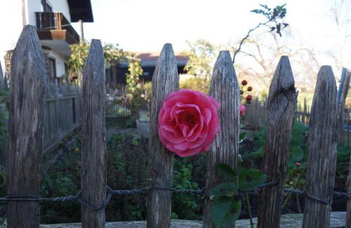 Appartement - Ferienwohnung - FeWo Obernkammer - Foto 16