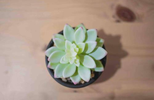 Gateway Retreat: Short Drive to the Sequoias - Foto 22