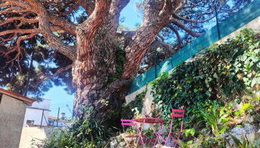 studio la mimosette - Foto 2