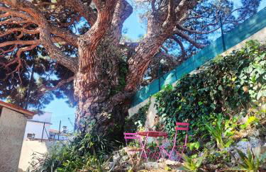 studio la mimosette - Foto 2