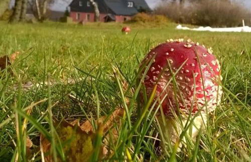 Ferienwohnung Zum Ausblick - Foto 34