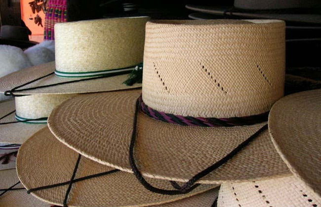 Tour de vinhedos e adegas pelo vale de Itata - Foto 8