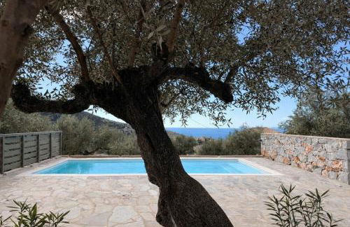 Thalassori Villas - Foto 52