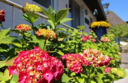 GROßE-WILDE-BETTEN - Foto 6