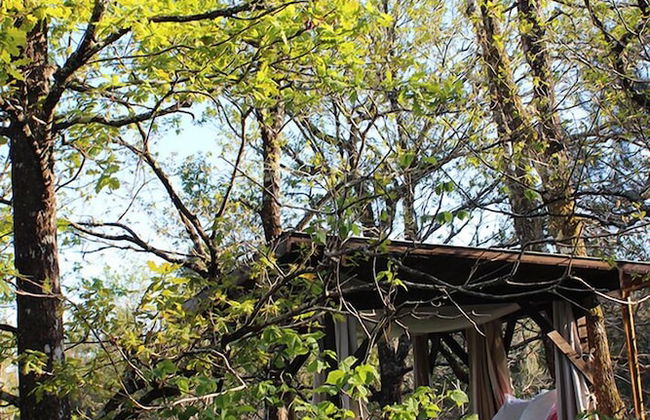 Les Landines - Foto 25