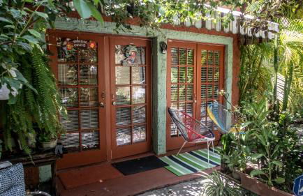 The Wild Rose - Foto 1