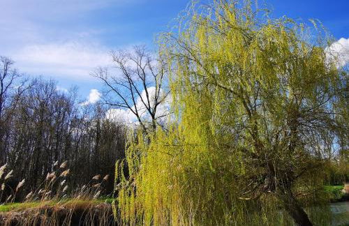 L'Aarona du Lidon - Foto 17