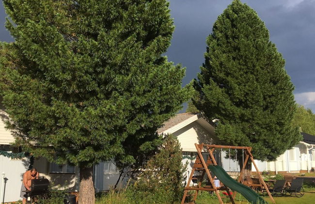 Arctic Resort Delight - Foto 33