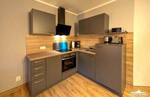 Auszeit-im-Harz Haus 5 Wohnung 12 - Foto 3