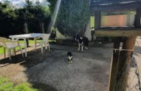 Farm House, Hirwaun Brecon Beacons with Games Barn - Photo 24