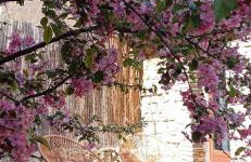 Apartamento Bajo Los Arcos - Foto 1