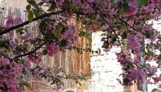 Apartamento Bajo Los Arcos - Foto 1