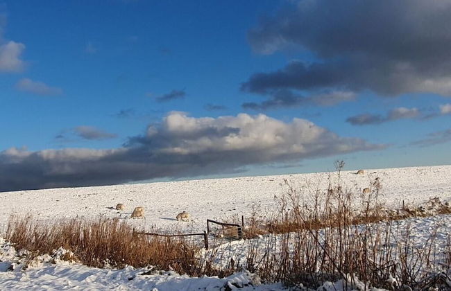 Villa Garden Cloud 7 - Foto 32